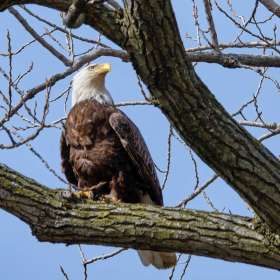 Scott-Oberle-Stength-2nd-Place