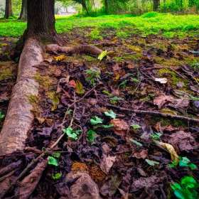 Al-Wood-BPG-Gallery-Wall_2