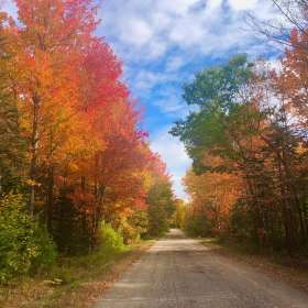 ClarkAnderson_OctThemeRev-