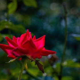 John_Mott_BPG_Gallery-2880