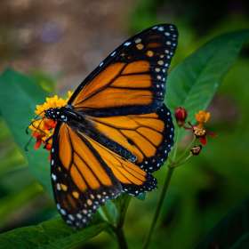 John_Mott_BPG_Gallery-2923