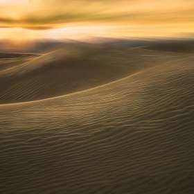 Connie-Cole-Earth-1st-place