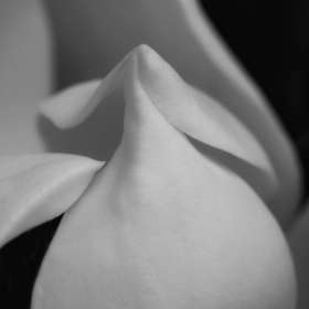 Gale-Stoner-BPG-POTM-Gallery-Wall-1