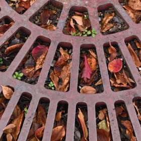 Phyllis-Tatum-Downtown-Nashville-Outing-2