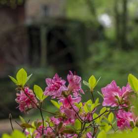 Diane-Burgett-Falls-Mill-Outing-01