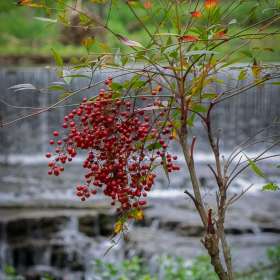 Ed-Batsel-Falls-Mill-Outing