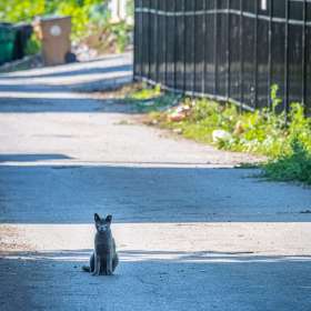 Duane-Miller-Germantown-Outing