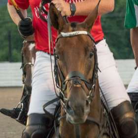 Betty-Cowart-Polo-match-at-Harlinsdale-Farm-Outing-1