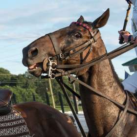 Betty-Cowart-Polo-match-at-Harlinsdale-Farm-Outing