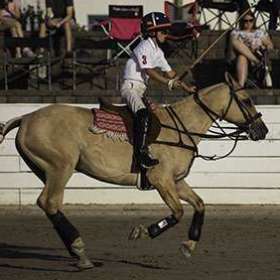 Lesley-Gill-Polo-Match-Outing-1