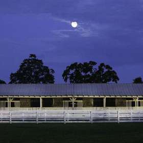 Lesley-Gill-Polo-Match-Outing