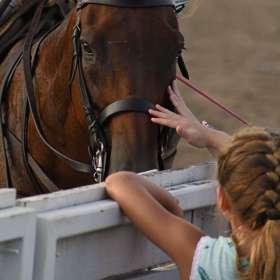 Phyllis-Tatum-Polo-Match-at-Harlinsdale-Farm-Outing-1