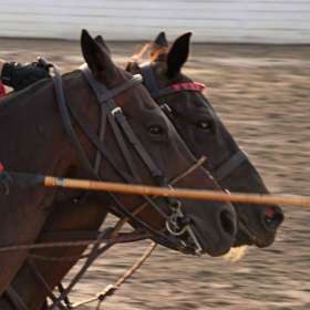 Phyllis-Tatum-Polo-Match-at-Harlinsdale-Farm-Outing