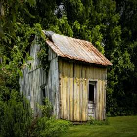 Diane-Burgett-TN-KY-Threshing-Show-Outing-1