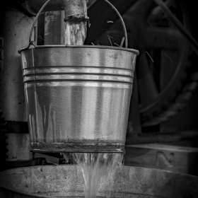 Diane-Burgett-TN-KY-Threshing-Show-Outing-2