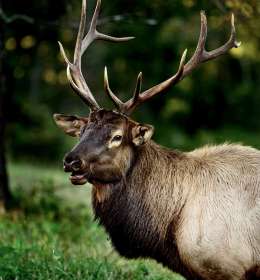 2021 October Outing - Land Between the Lakes