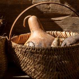 Lois-Frost-Land-Between-the-Lakes-Outing-2