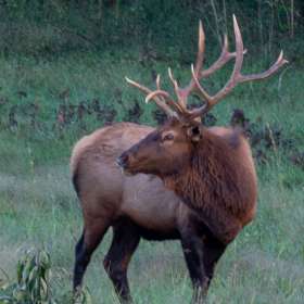 Lois-Frost-Land-Between-the-Lakes-Outing