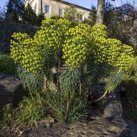 2021 POTM - April (Gallery Wall)