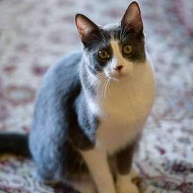 2021 POTM - February (Gallery Wall)