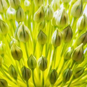 Claude Velasco - Fragile (2nd Place, Tie)