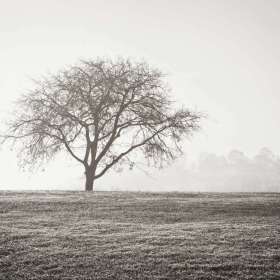 2021 POTM - February