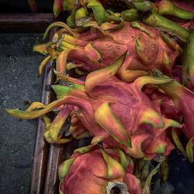 Betty-Cowart-Gallery-Wall-1