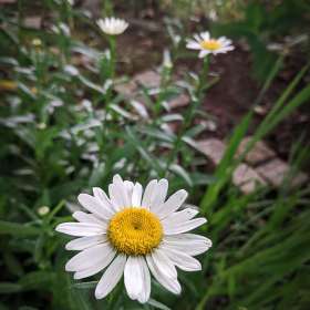 Betty-Cowart-Gallery-Wall-2