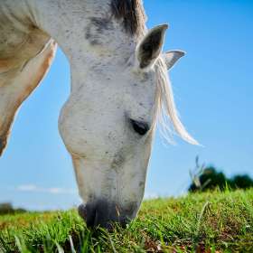 Tony-Willett-Gallery-Wall-3