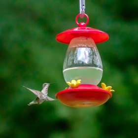 EdBatsel-PTOM-Sweets