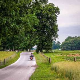 Ed Batsel - Open (2nd Place)