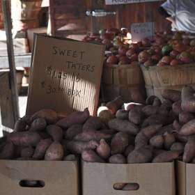 Phyllis-Tatum-Gallery-Wall.5.jpg.