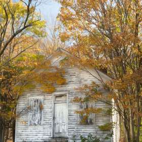 Connie-Cole-OPEN-1st-Place-October