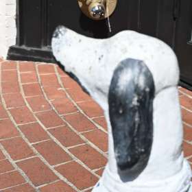 Darek-Baker-Downtown-Franklin-Scavenger-Hunt-Outing-1