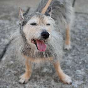 Darek-Baker-Downtown-Franklin-Scavenger-Hunt-Outing