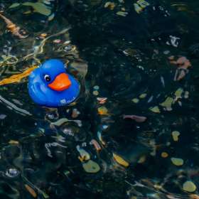 Diane-Burgett-Franklin-Scavenger-Hunt-Outing