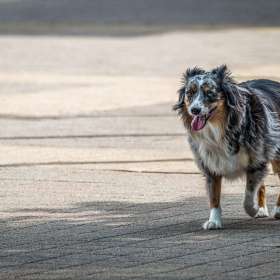 Duane-Miller-Franklin-Scavenger-Hunt-Outing-2