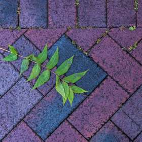 Duane-Miller-Franklin-Scavenger-Hunt-Outing