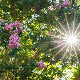 Elizabeth-Stead-Franklin-Scavenger-Hunt-Outing-2