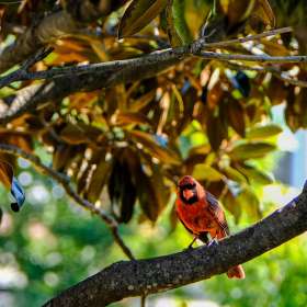 Gary-Pool-Franklin-Downtown-Photo-Scavenger-Hunt-Outing