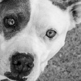 Jeanette-Giza-Scavenger-Hunt-Outing-1