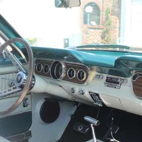 Krista-Garbacz-Frankfort-Scavenger-Hunt-Outing-2