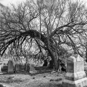 Mark-Reynolds-Mt_Olivet_Cemetery-Outing