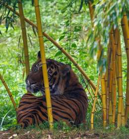 2022 September Outing - Nashville Zoo