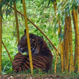 Elizabeth-Stead-Nashville-Zoo-Outing-1