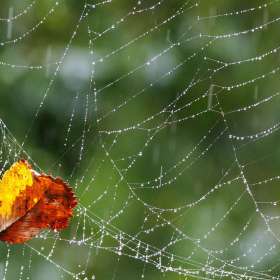 Elizabeth-Stead-Nashville-Zoo-Outing