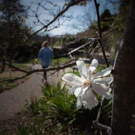 Al-Wood-Cheekwood-Outing-1