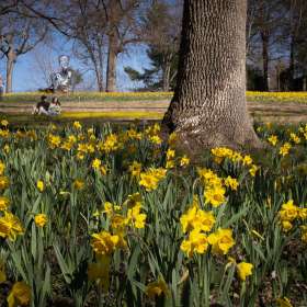 Al-Wood-Cheekwood-Outing-2