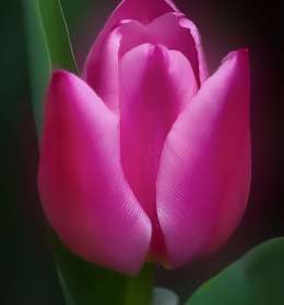 2022 March Outing - Cheekwood