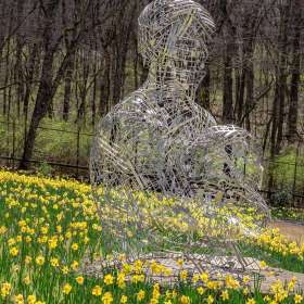 Ed-Batsel-Cheekwood-Outing-1